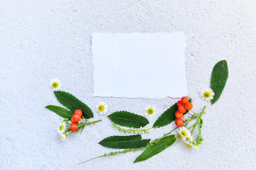 Floral pattern made of wildflowers and rowan © dominikab
