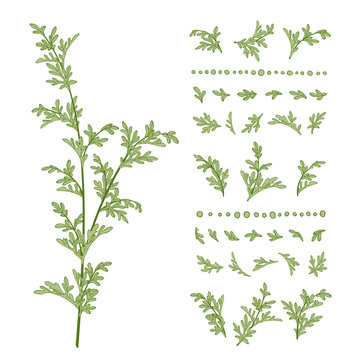 Wormwood