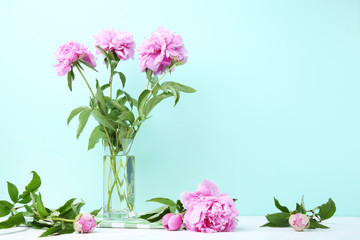 Bouquet of peony flowers in vase on mint background