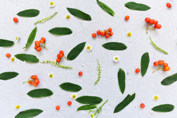 Floral pattern made of wildflowers and rowan