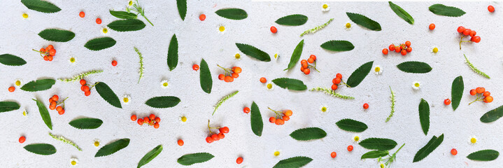 Floral pattern made of wildflowers and rowan