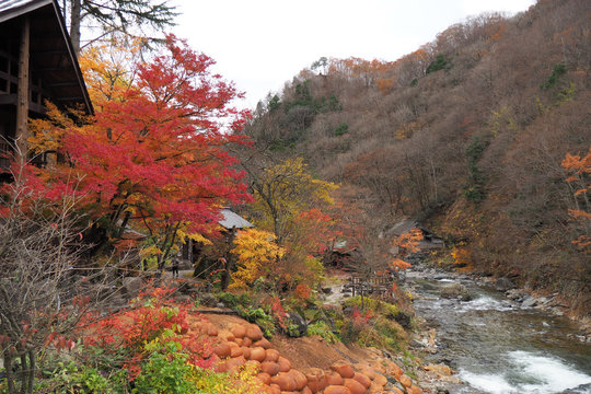 Takaragawa Onsen Hot Spring With Colorful Trees In Autumn, Japan