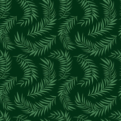Fototapeta na wymiar Palm leaf pattern