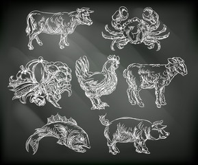 Food Groups Chalk Hand Drawn Animal Icons
