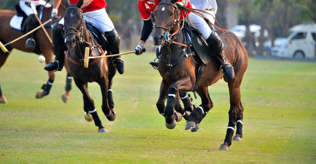 Polo horse player riding a horse to hit a ball in match.
