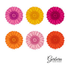 Summer background with Gerbera