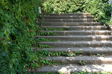 Pflanzen erobern Treppe