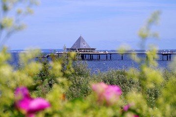 Seebrücke vom Seebad Heringsdorf (Insel Usedom / Deutschland)