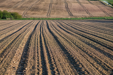Fototapeta premium Agricultural field, plowed after harvest, the summer season, the car tracks on the ground. Soft focus.