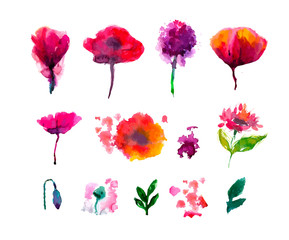 Vector floral set. Collection with leaves.Spring or summer design for invitation, wedding or greeting cards.