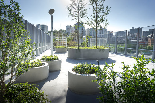 View of Seoullo 7017. the pedestrian road of the Seoul Station overpass in South Korea. trees and grass at the city