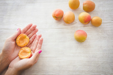 Female hands holding organic apricot on white wooden table with more delicious apricots