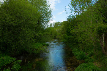 Fototapeta na wymiar Wooded River