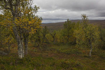 Herbststimmung in Schweden