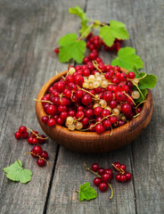 Bowl with red currant