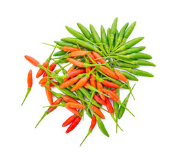 chili pepper on white background