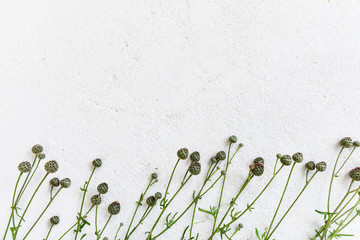 Floral pattern made of wildflowers © dominikab