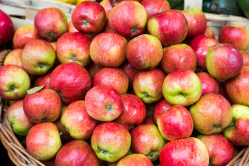 Basket of Red and Green Apples