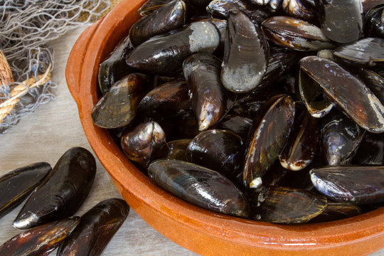 moules