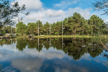 Fototapeta premium View of Bucaquinho natural park, Ovar, north of Portugal. Renewable energy