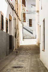 Narrow pedestrian street of a typical Andalusian village