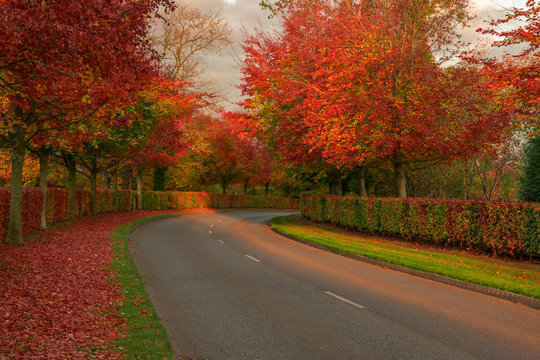 Red Irish Countryside