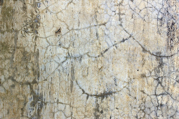 Aged cracked concrete stone plaster wall background and texture style