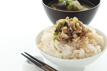 Japanese food, grilled mackerel flake and soy sauce on rice