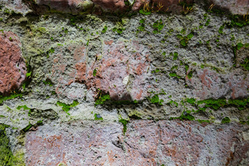 Old cracked brickwork made of red brick and partly covered with green moss and vegetation