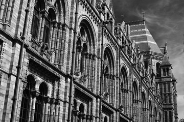 Natural History Museum in London. Monochrome.