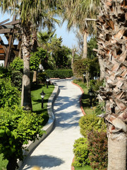 Panorama of Anthalya city with majestic hotel complex