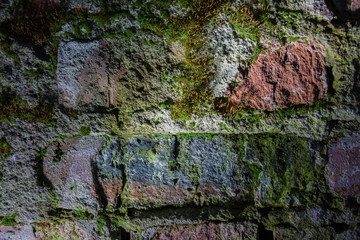 Old cracked brickwork made of red brick and partly covered with green moss and vegetation