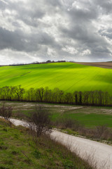 Natural landscape in a spring day, green fields and cloudy sky