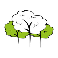 tree plant forest icon vector illustration design