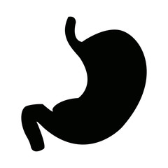 stomach human internal organ digestive system anatomy