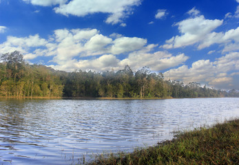 Lake forest with blue sky and clouds