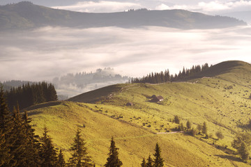 Obraz premium Sunrise in the Alps