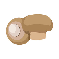 mushroom champignon agriculture food health