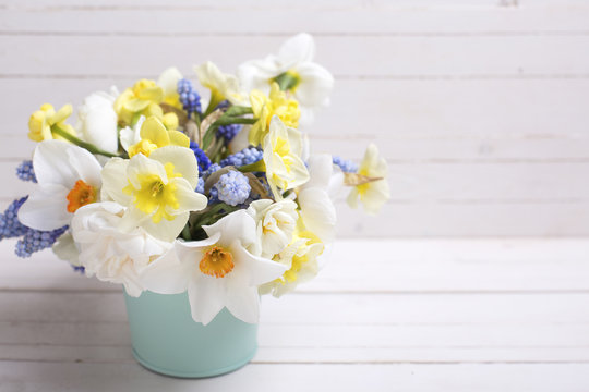  Blue muscaries and yellow narcissus flowers in  pot  on  wooden background.