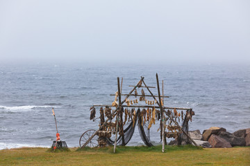 Rack for fish drying in Iceland