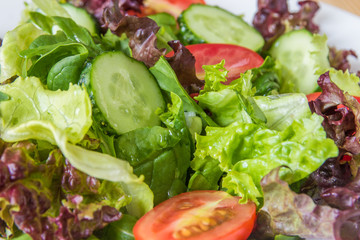 Fresh salad with mixed greens, cherry tomato and cucumber