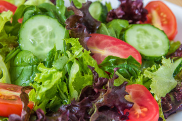 Fresh salad with mixed greens, cherry tomato and cucumber