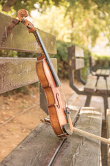 violin on the bench