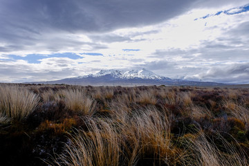 Volcano NZ