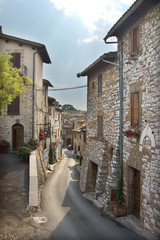 assisi