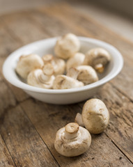 Fresh champignon mushrooms