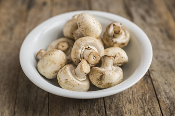 Fresh champignon mushrooms
