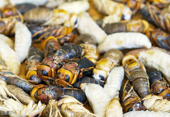 Close up of many Bee larvae in bamboo basket 