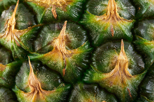 Fruit pineapple texture. Close-up view.