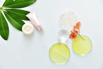 Cosmetic bottle containers with skin care raw materials, Blank label for branding mock-up, Natural beauty product concept.
